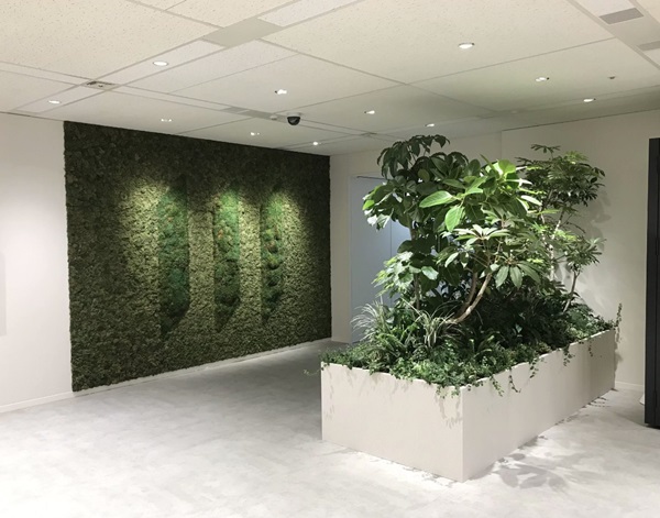 ヤハギ緑化のオフィスへの観葉植物導入事例